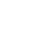 Nerve Repair & <br>Microsurgery