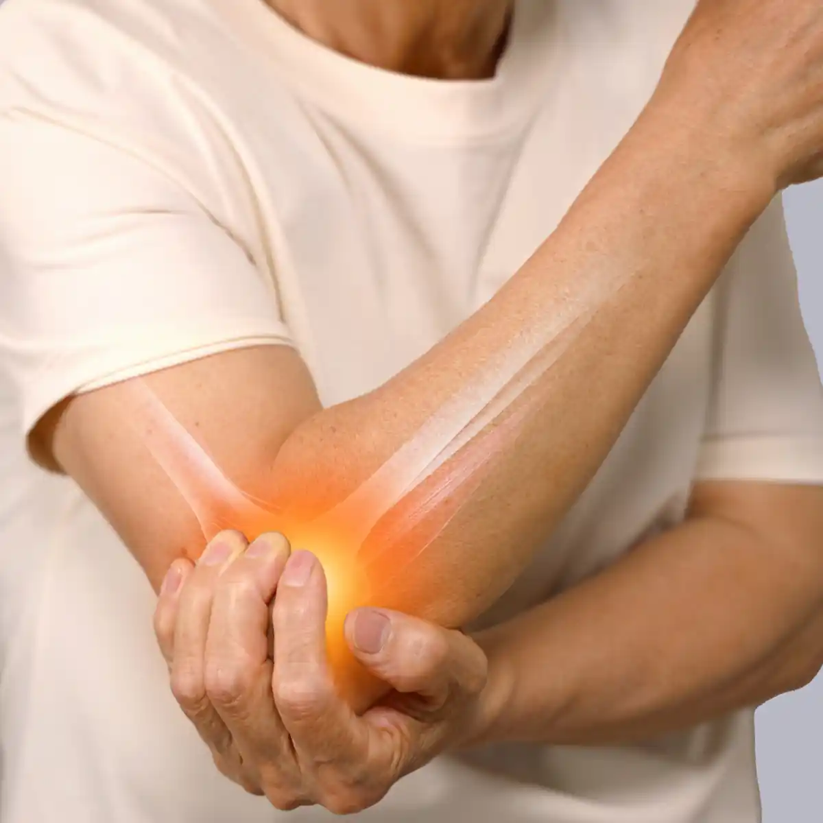 Elbow Collateral Ligaments Anatomy