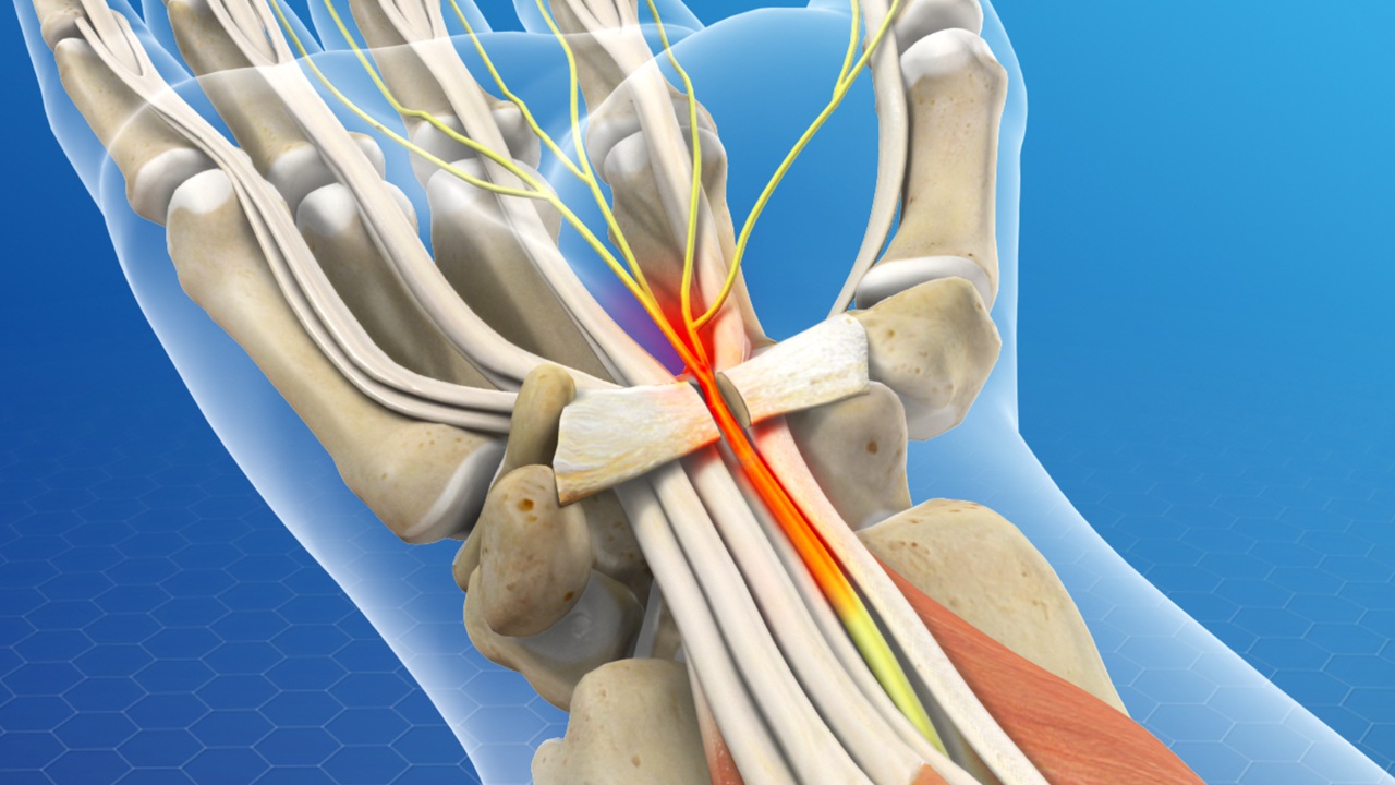 Surgical anatomy evaluation